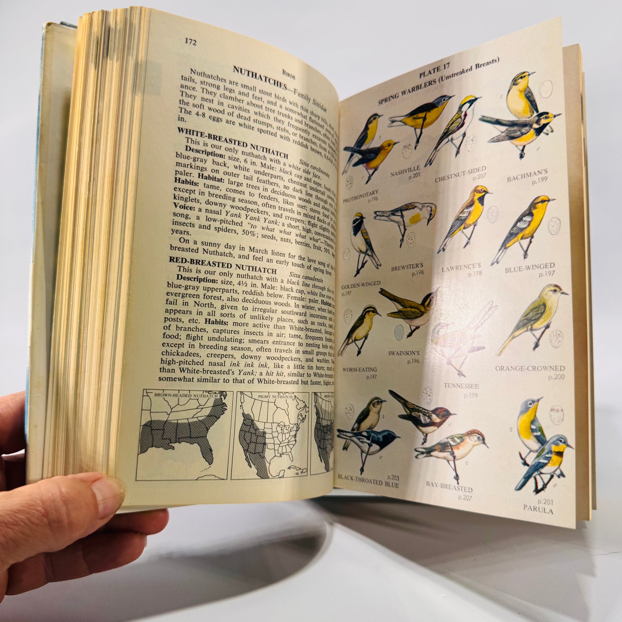 Complete Field Guide to American Wildlife by Henry Hill Collins Jr. (1959) | Vintage Nature Reference Book