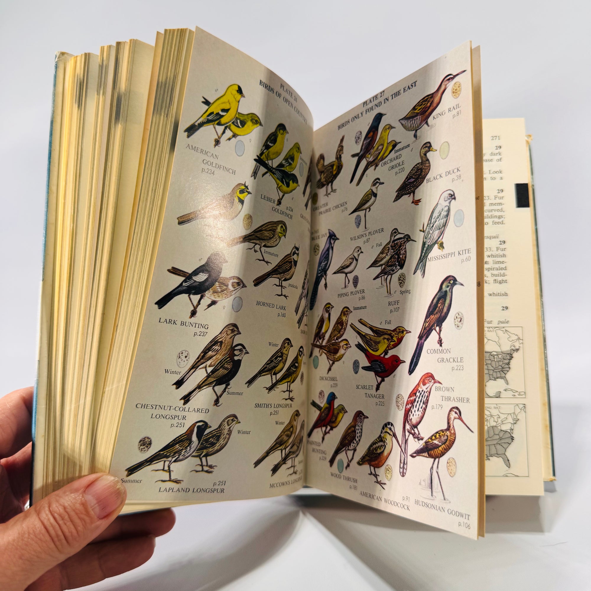 Complete Field Guide to American Wildlife by Henry Hill Collins Jr. (1959) | Vintage Nature Reference Book