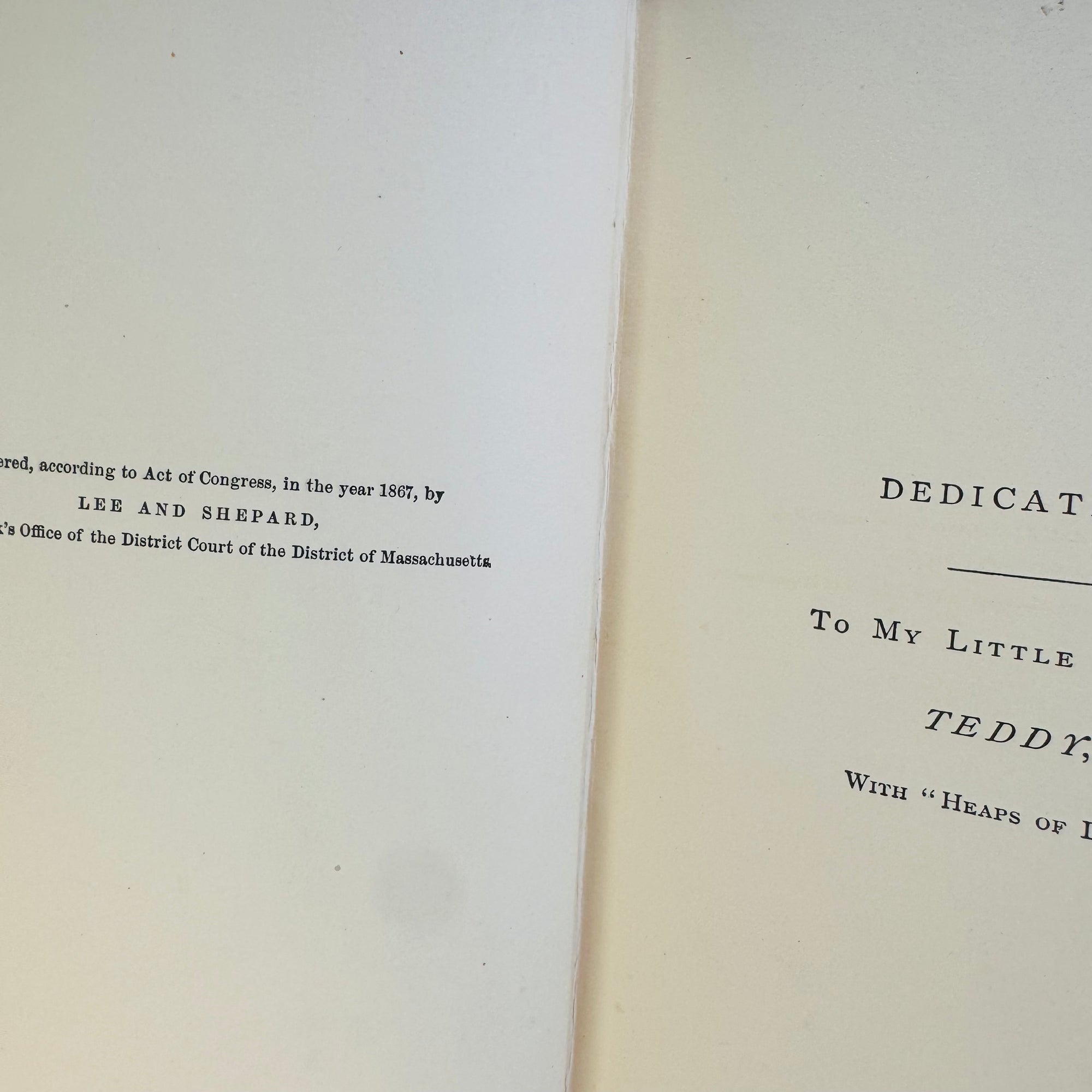 Alix of the Runway by Mrs. Rosa Abbott Parker 1867 Lee and Shepard Publishers The Pilgrim Series for Boys