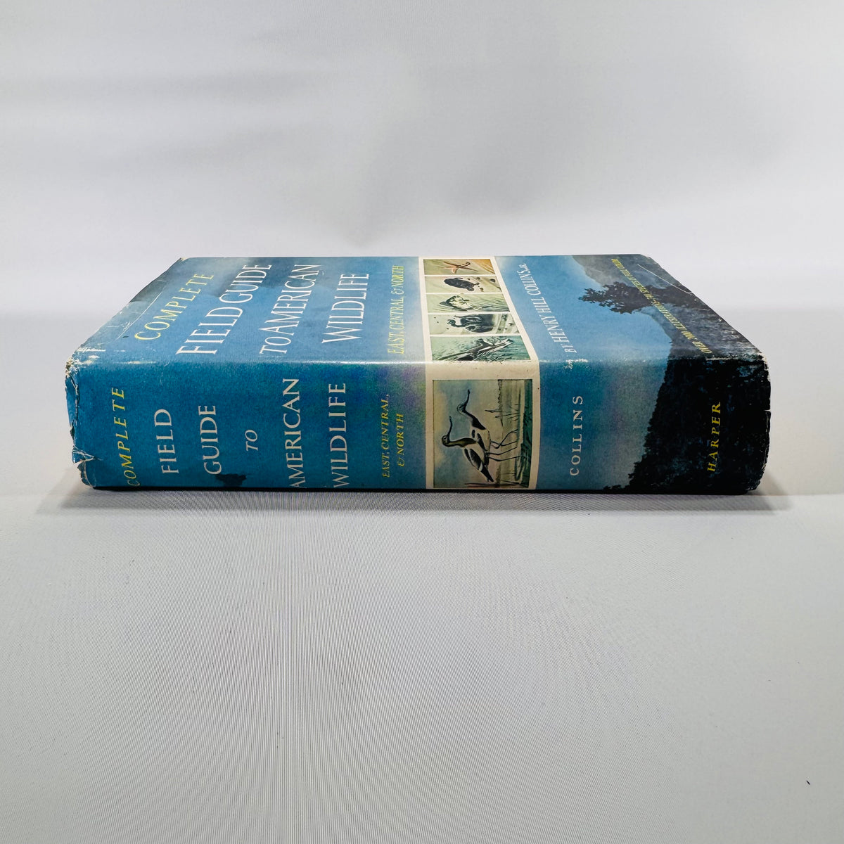 Complete Field Guide to American Wildlife by Henry Hill Collins Jr. (1959) | Vintage Nature Reference Book
