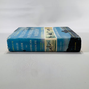 Complete Field Guide to American Wildlife by Henry Hill Collins Jr. (1959) | Vintage Nature Reference Book