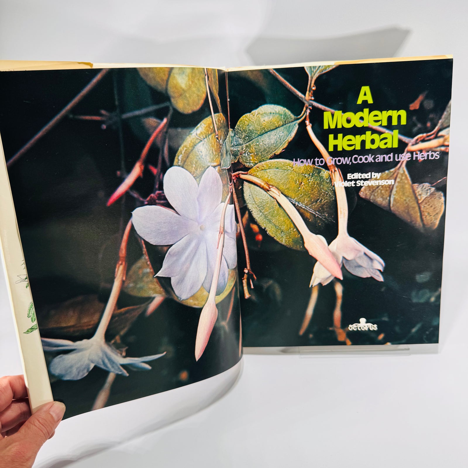 A Modern Herbal by Violet Stevenson (1974, Hardcover w/ DJ) | Grow, Cook & Use Herbs | Illustrated Herbal Guide