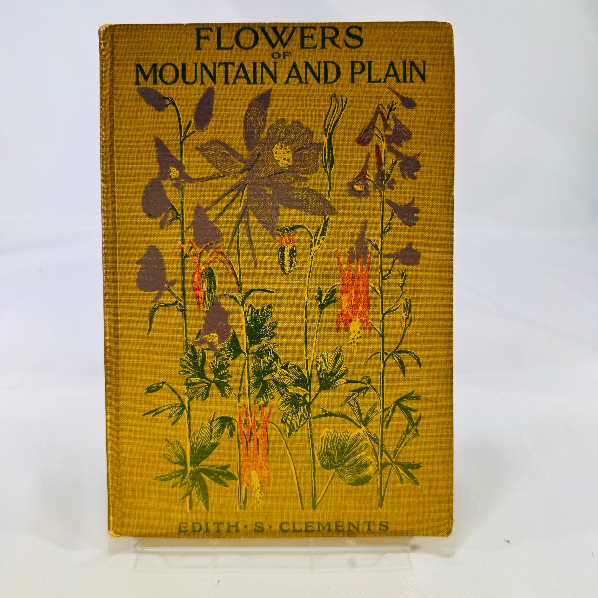 Flowers of Mountain and Plain by Edith S. Clements 1926 Vintage Wildflower Guide