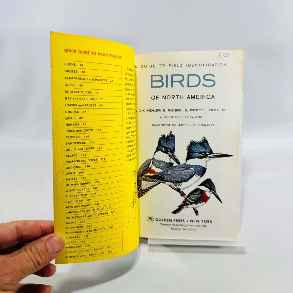 Birds of North America A Guide to Field Identification Golden Field Guide