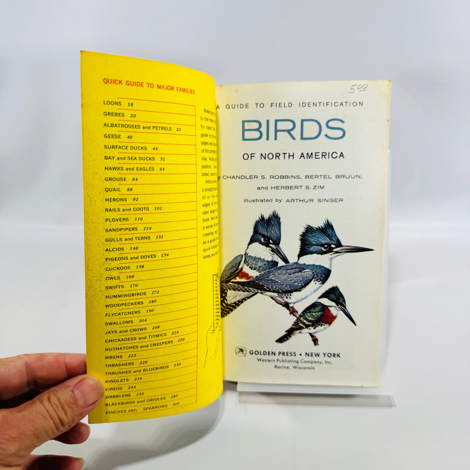 Birds of North America A Guide to Field Identification Golden Field Guide