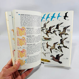 Birds of North America A Guide to Field Identification Golden Field Guide