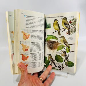 Birds of North America A Guide to Field Identification Golden Field Guide