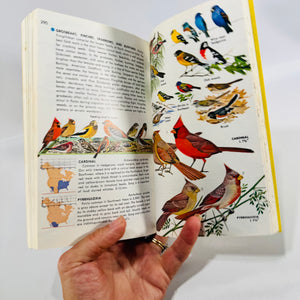 Birds of North America A Guide to Field Identification Golden Field Guide