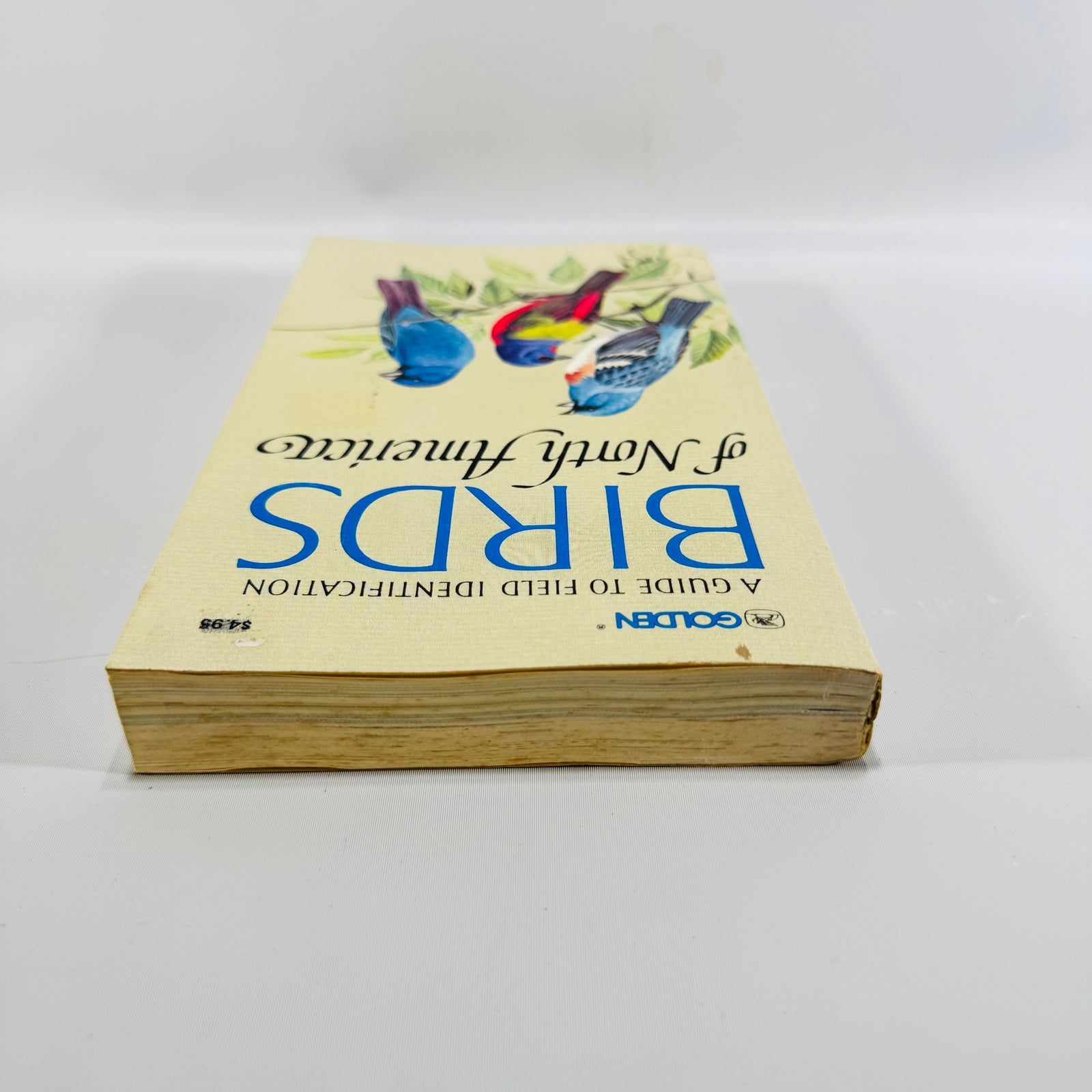 Birds of North America A Guide to Field Identification Golden Field Guide