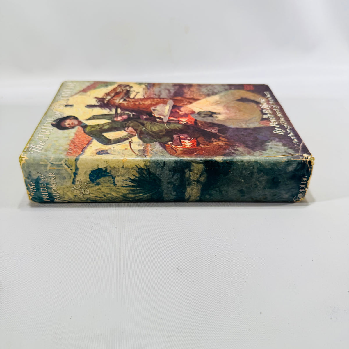 The Pride of Palomar Peter B. Kyne 1921 First Edition Cosmopolitan Hardcover Dean Cornwell Dust Jacket