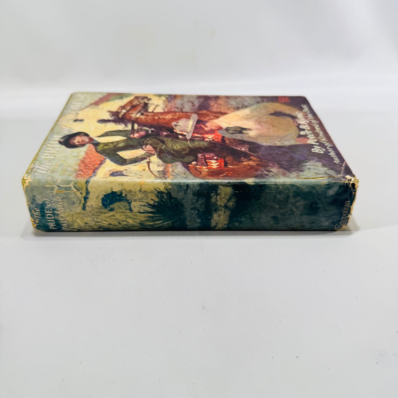The Pride of Palomar Peter B. Kyne 1921 First Edition Cosmopolitan Hardcover Dean Cornwell Dust Jacket