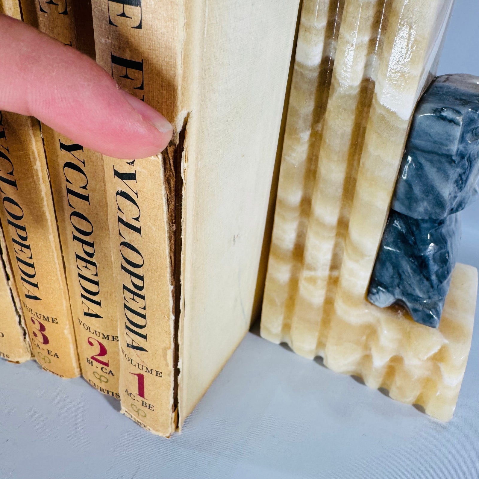 Vintage Natural History Reference (First Printing) — The Audubon Nature Encyclopedia 12-Volume Set (1964–1965) — National Audubon Society | Illustrated Wildlife + Ecology, Natural History / Wildlife Reference