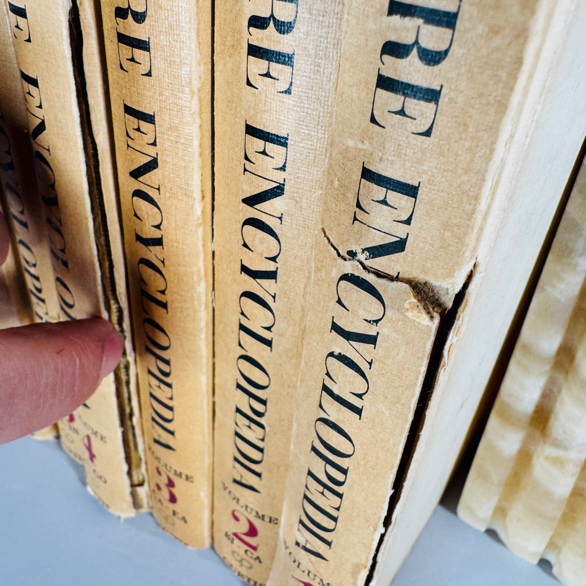 Vintage Natural History Reference (First Printing) — The Audubon Nature Encyclopedia 12-Volume Set (1964–1965) — National Audubon Society | Illustrated Wildlife + Ecology, Natural History / Wildlife Reference