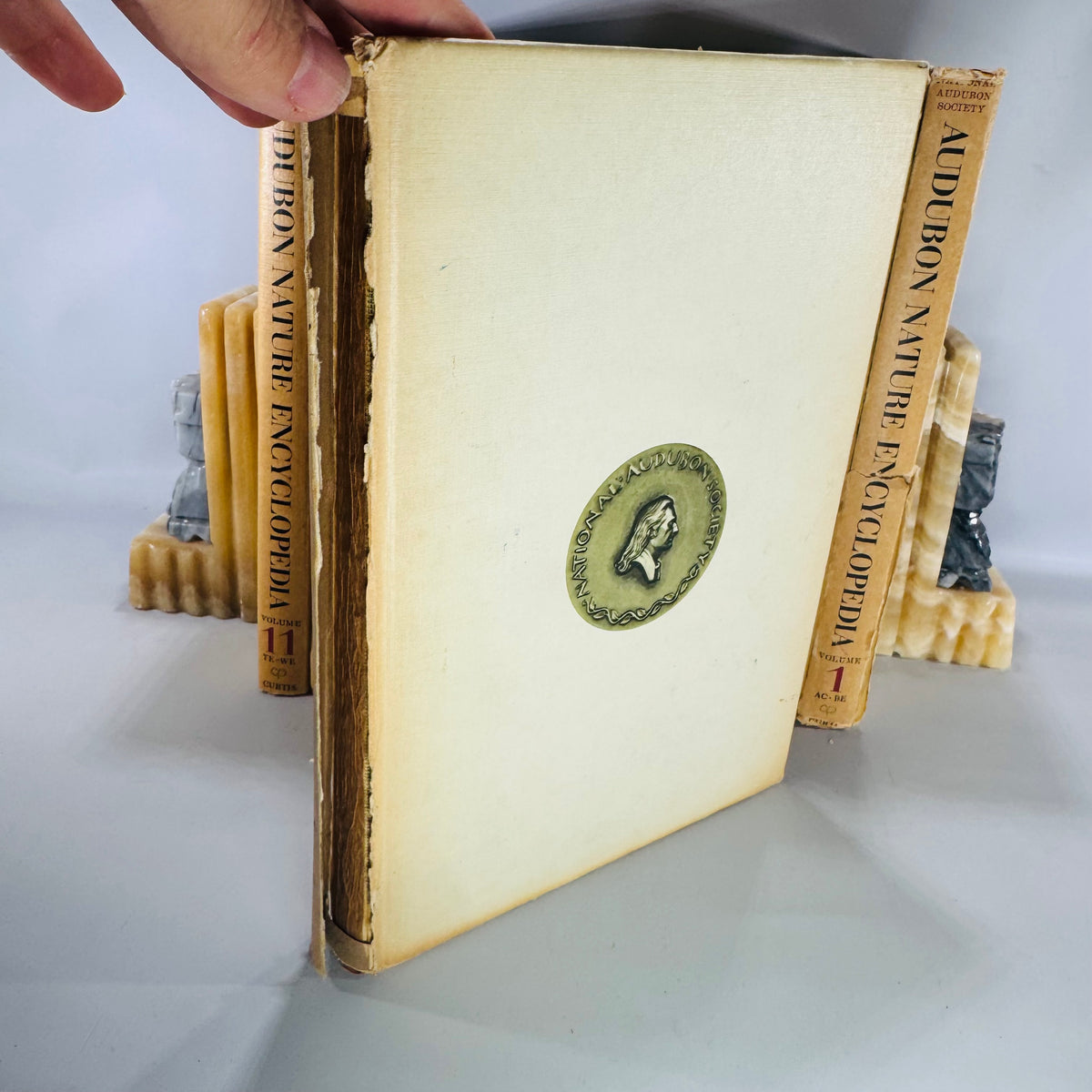 Vintage Natural History Reference (First Printing) — The Audubon Nature Encyclopedia 12-Volume Set (1964–1965) — National Audubon Society | Illustrated Wildlife + Ecology, Natural History / Wildlife Reference
