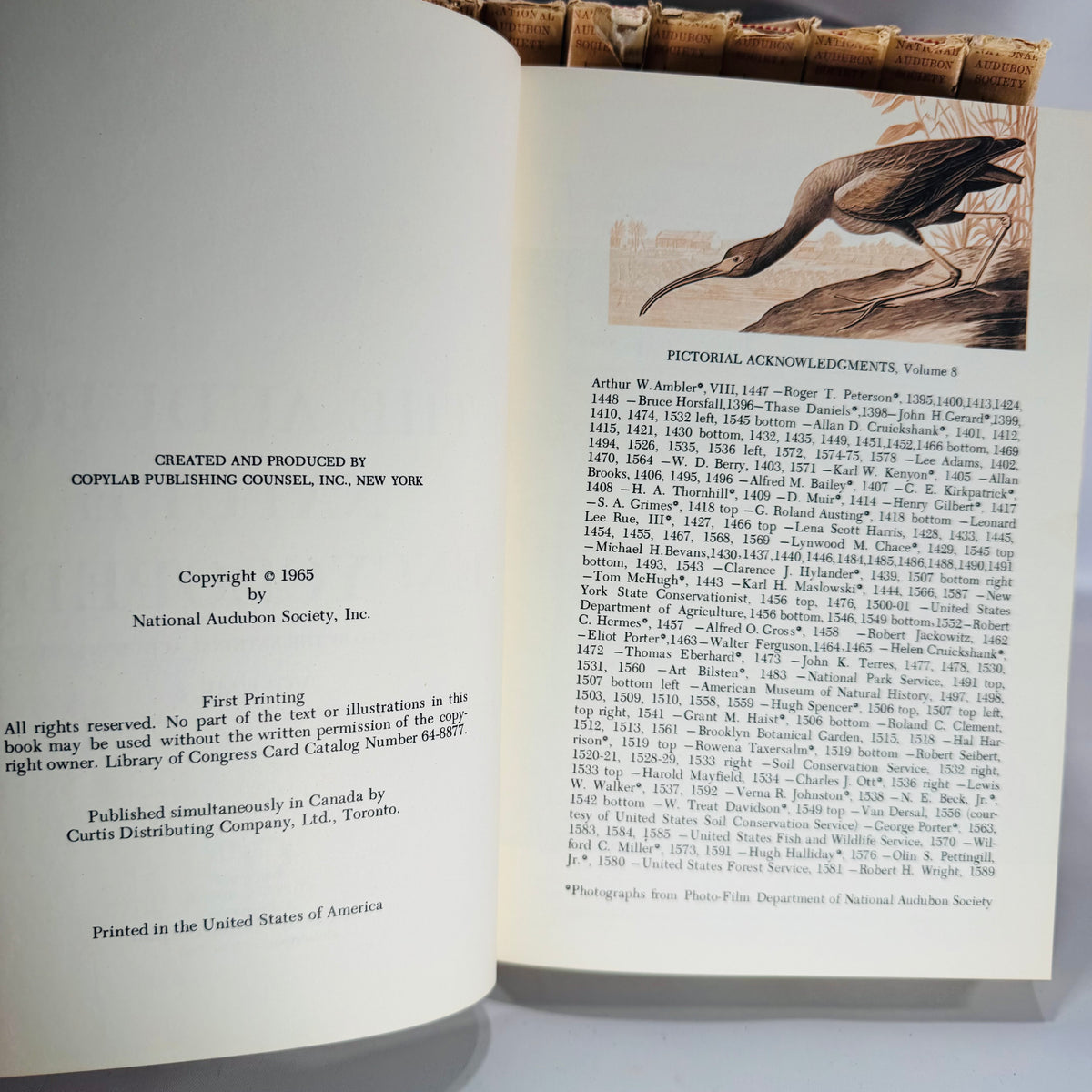 Vintage Natural History Reference (First Printing) — The Audubon Nature Encyclopedia 12-Volume Set (1964–1965) — National Audubon Society | Illustrated Wildlife + Ecology, Natural History / Wildlife Reference