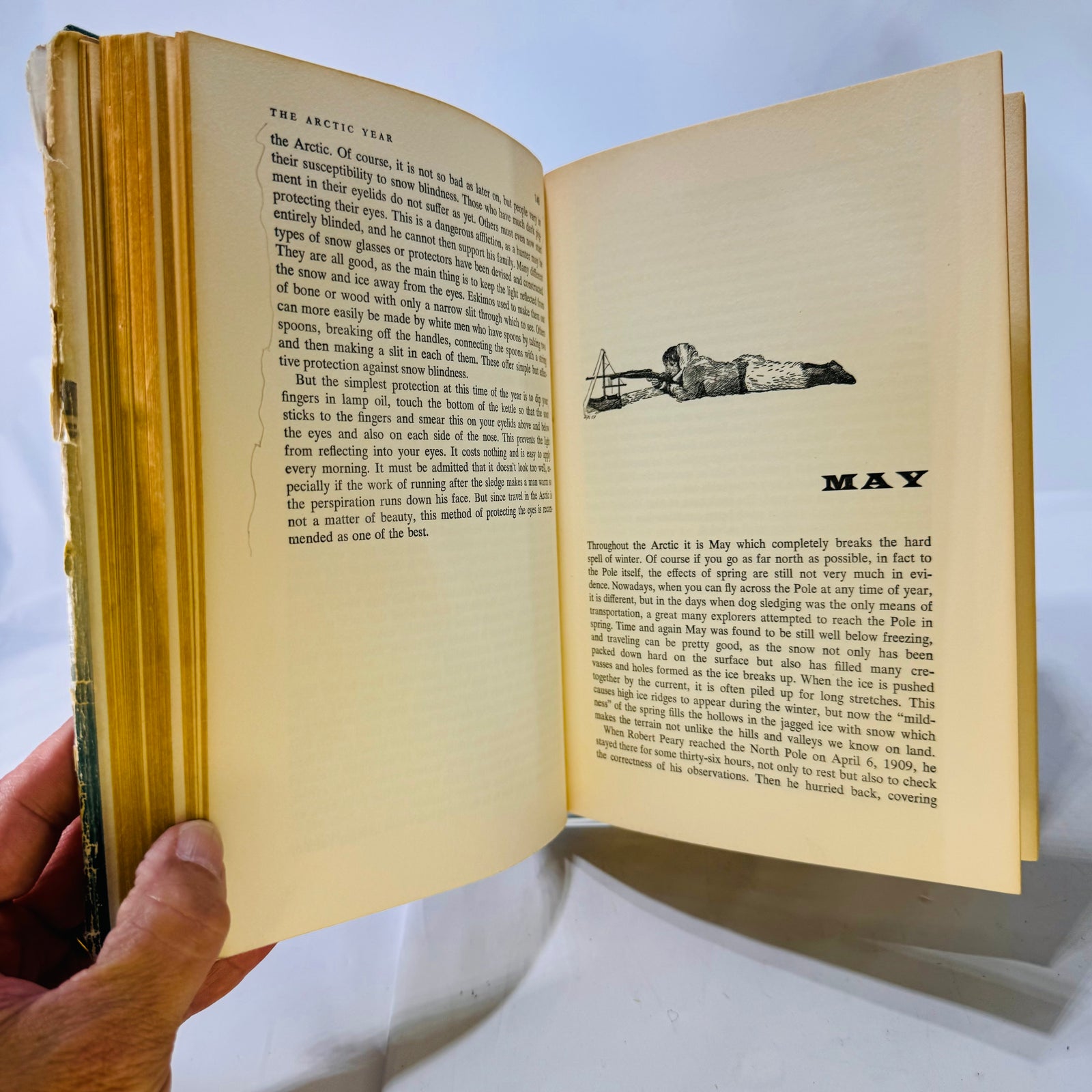 The Arctic Year by Peter Freuchen & Fin Salomonsen 1958 GP Putnam's Sons