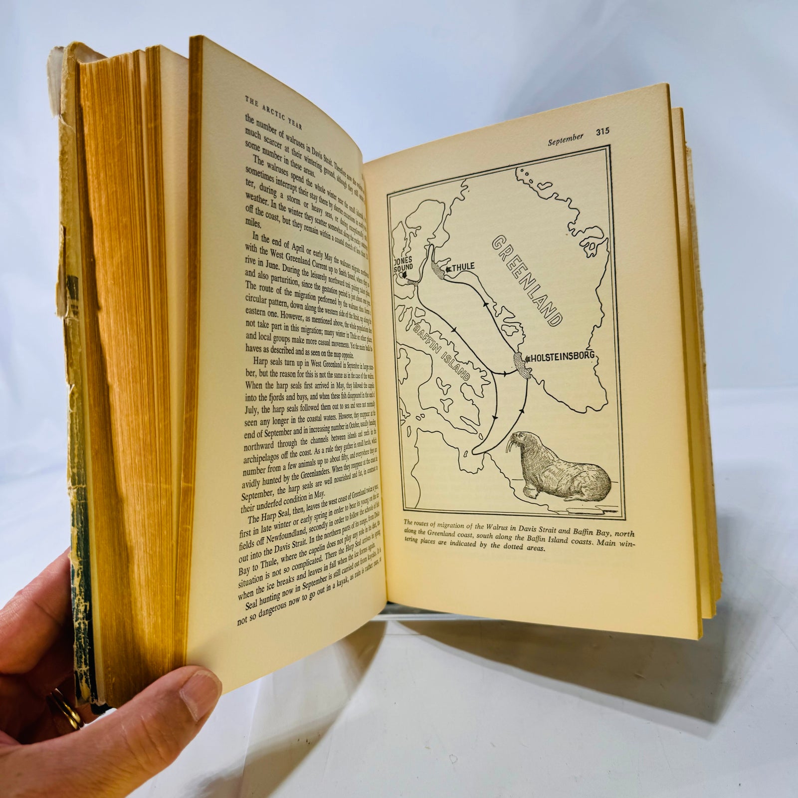 The Arctic Year by Peter Freuchen & Fin Salomonsen 1958 GP Putnam's Sons