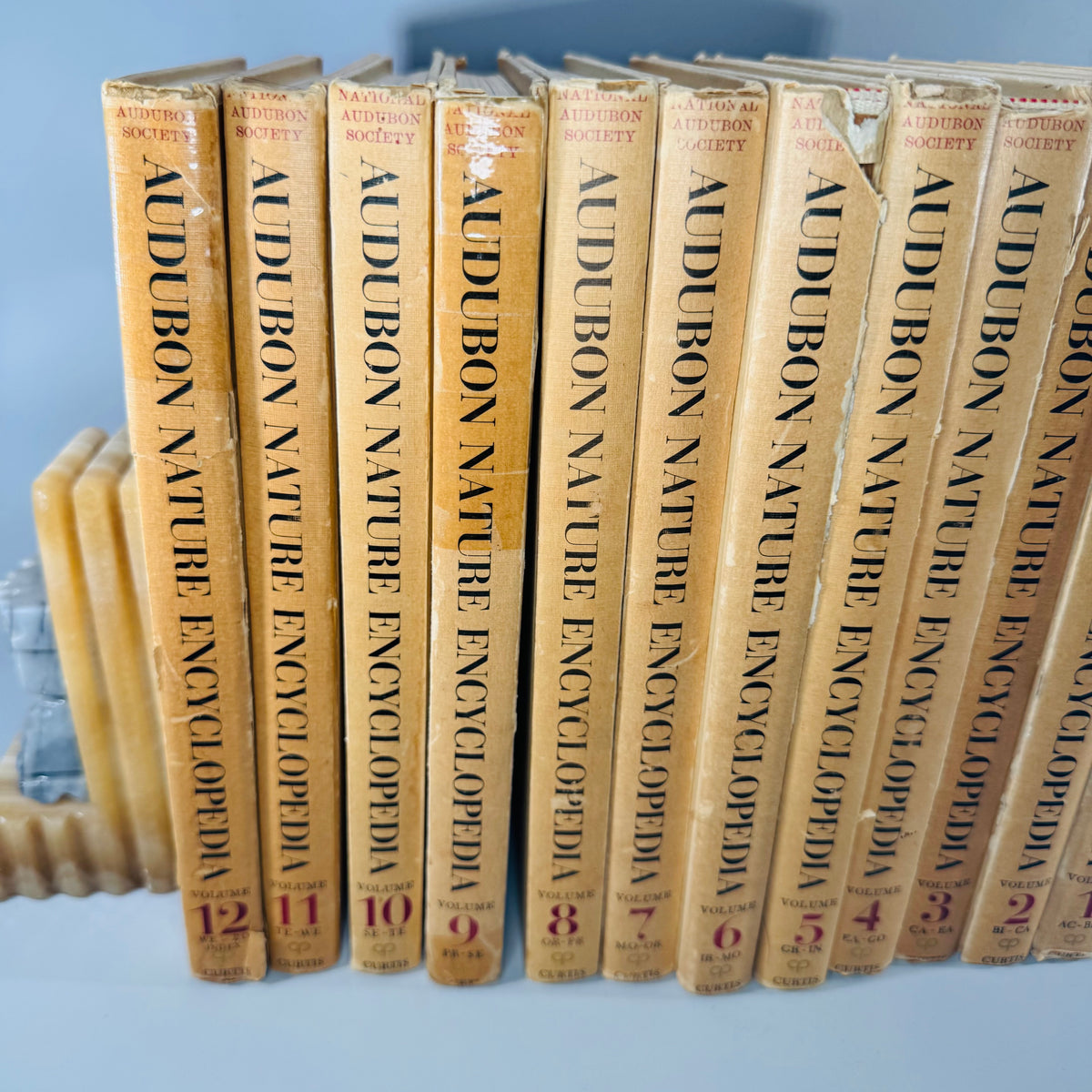Vintage Natural History Reference (First Printing) — The Audubon Nature Encyclopedia 12-Volume Set (1964–1965) — National Audubon Society | Illustrated Wildlife + Ecology, Natural History / Wildlife Reference