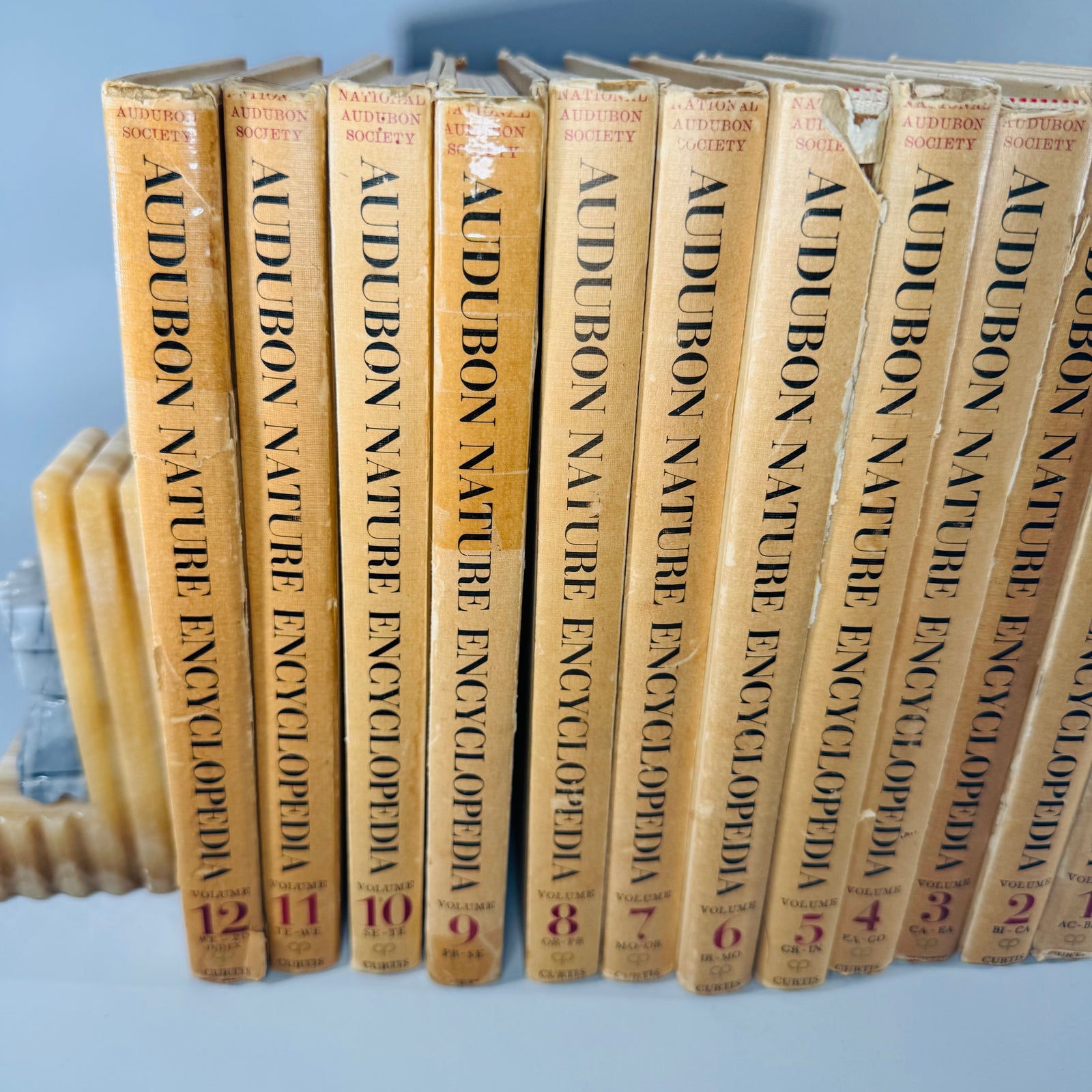 Vintage Natural History Reference (First Printing) — The Audubon Nature Encyclopedia 12-Volume Set (1964–1965) — National Audubon Society | Illustrated Wildlife + Ecology, Natural History / Wildlife Reference