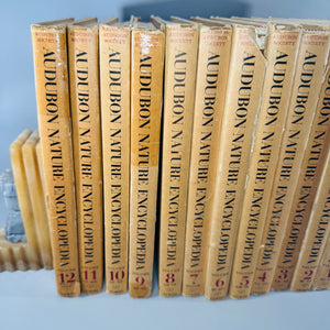 Vintage Natural History Reference (First Printing) — The Audubon Nature Encyclopedia 12-Volume Set (1964–1965) — National Audubon Society | Illustrated Wildlife + Ecology, Natural History / Wildlife Reference