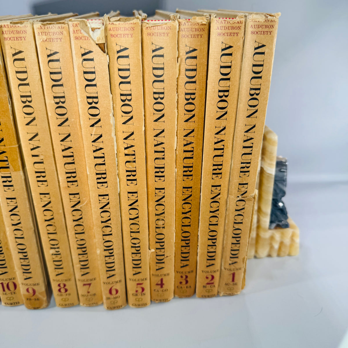 Vintage Natural History Reference (First Printing) — The Audubon Nature Encyclopedia 12-Volume Set (1964–1965) — National Audubon Society | Illustrated Wildlife + Ecology, Natural History / Wildlife Reference