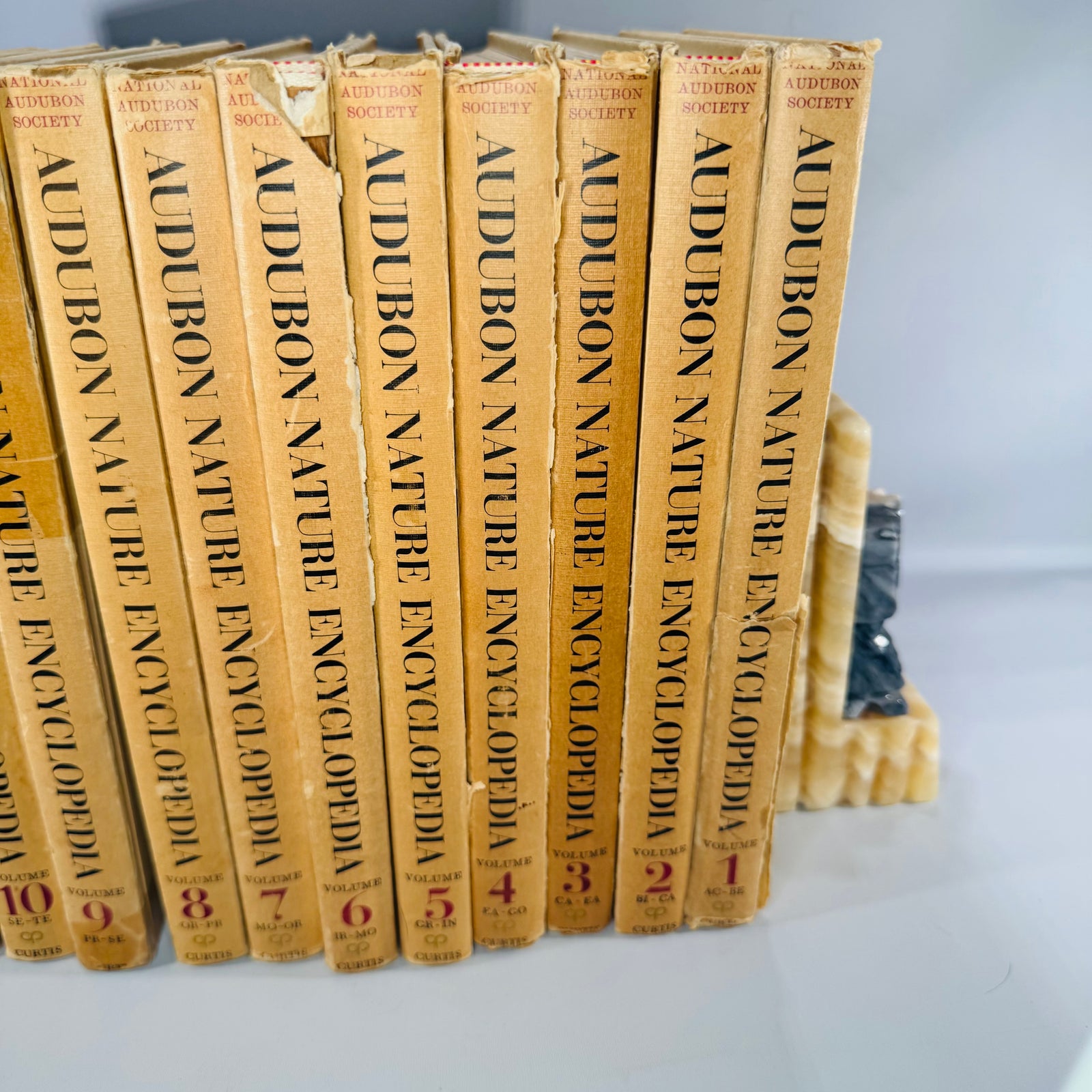 Vintage Natural History Reference (First Printing) — The Audubon Nature Encyclopedia 12-Volume Set (1964–1965) — National Audubon Society | Illustrated Wildlife + Ecology, Natural History / Wildlife Reference