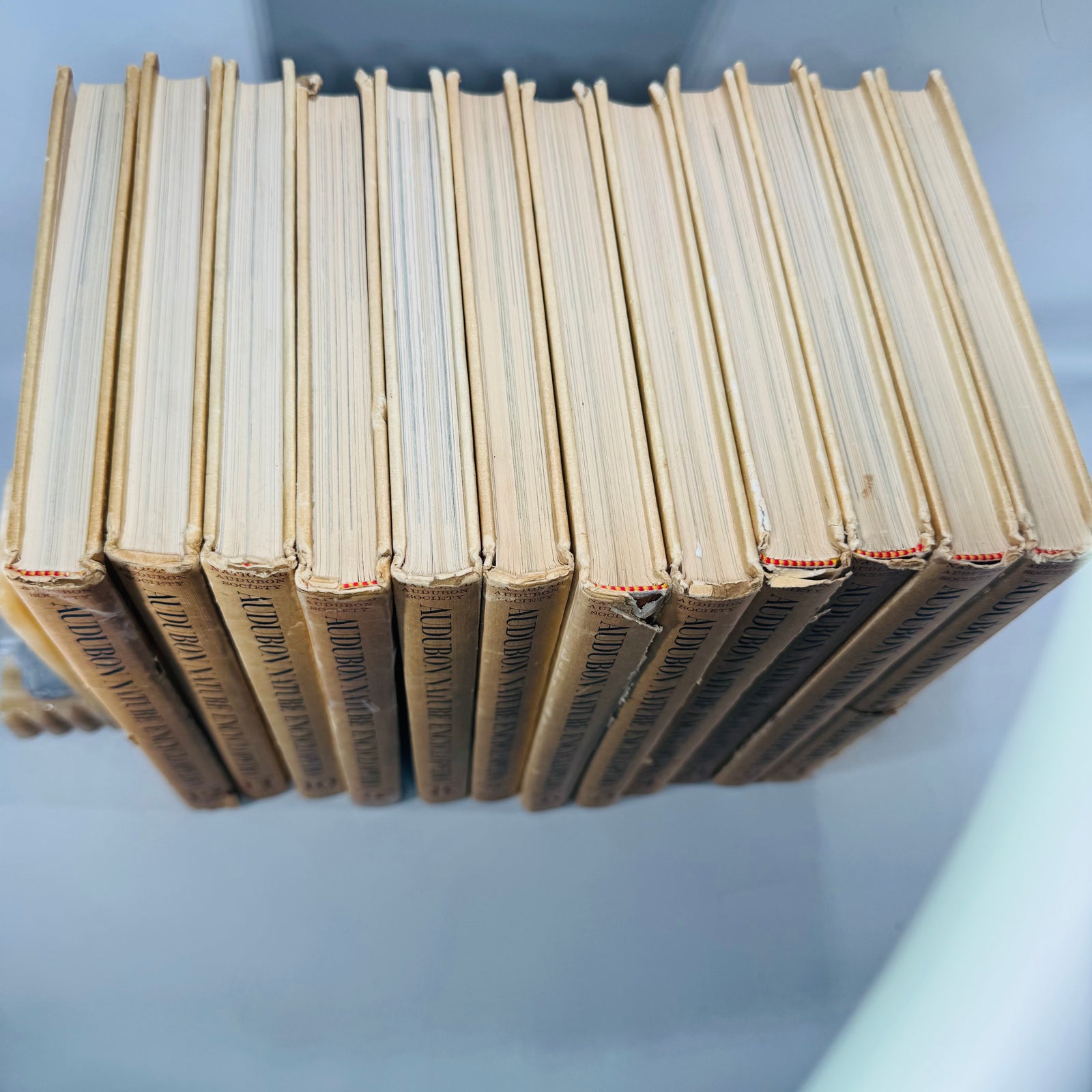 Vintage Natural History Reference (First Printing) — The Audubon Nature Encyclopedia 12-Volume Set (1964–1965) — National Audubon Society | Illustrated Wildlife + Ecology, Natural History / Wildlife Reference