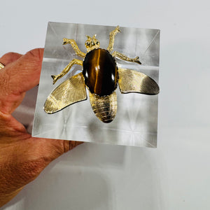 Tiger Eye Insect Brooch 1960s Gold Tone Bug Pin Textured Wings Vintage Costume Jewelry