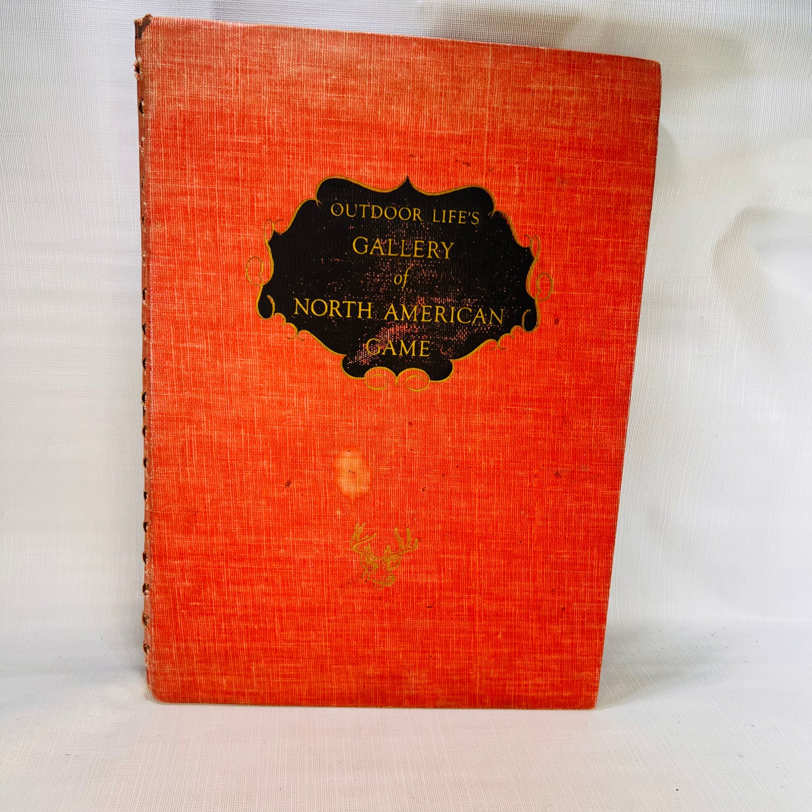 Outdoor Life Gallery of North American  A Brilliant Collection Of Paintings by Francis Lee Jaques Popular Science Publishing Co. 1946