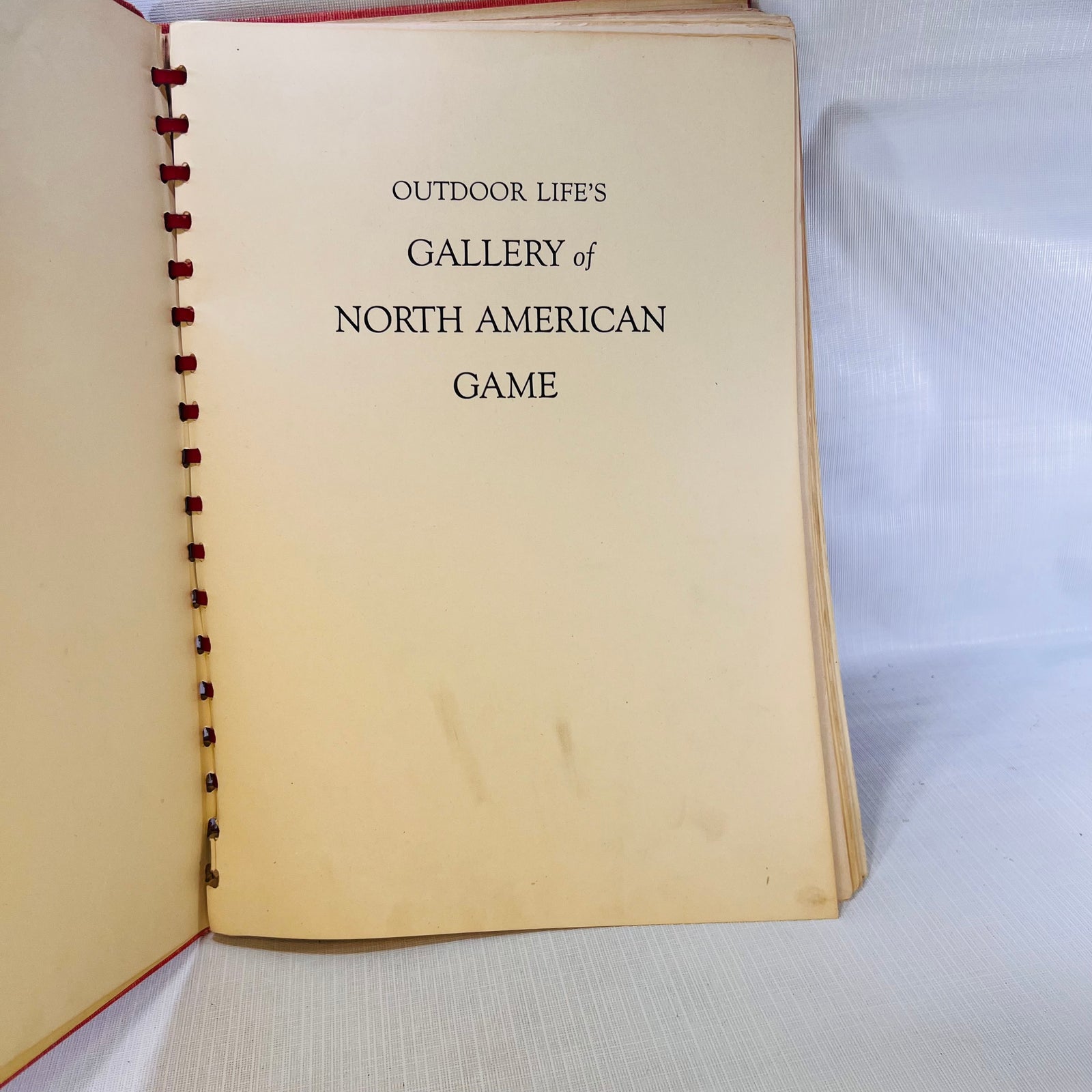 Outdoor Life Gallery of North American  A Brilliant Collection Of Paintings by Francis Lee Jaques Popular Science Publishing Co. 1946