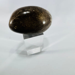 Polished Petoskey Stone Michigan Hexagonaria Fossil Coral Large 4 Inch Display Specimen