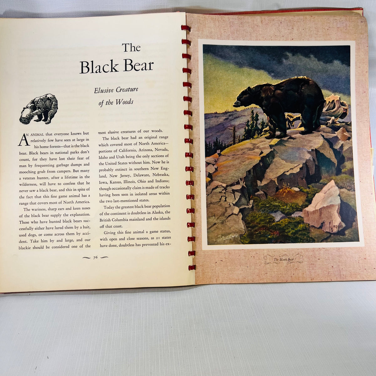 Outdoor Life Gallery of North American  A Brilliant Collection Of Paintings by Francis Lee Jaques Popular Science Publishing Co. 1946