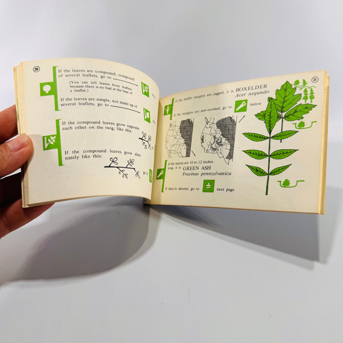 Rocky Mountain Tree Finder by Tom Watts (Pocket Field Guide, Vintage 6x4, 59 Pages, Almost New Condition)