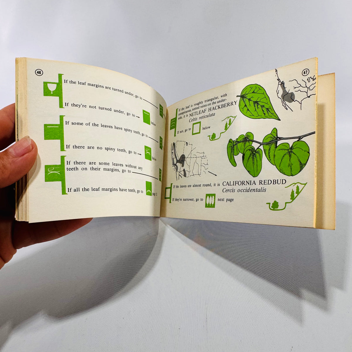 Rocky Mountain Tree Finder by Tom Watts (Pocket Field Guide, Vintage 6x4, 59 Pages, Almost New Condition)