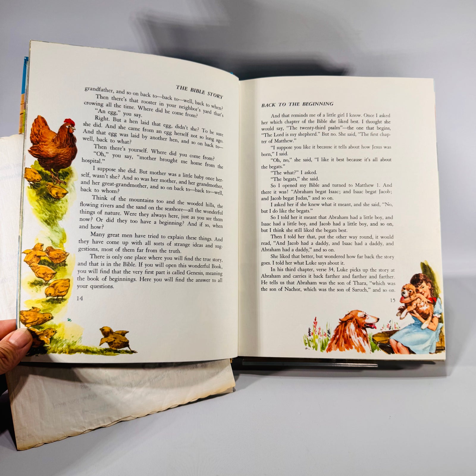 The Bible Story, Volume 1 by Arthur S. Maxwell (1974, 28th Printing) | Illustrated Christian Book with Religious Ephemera | Religious Education