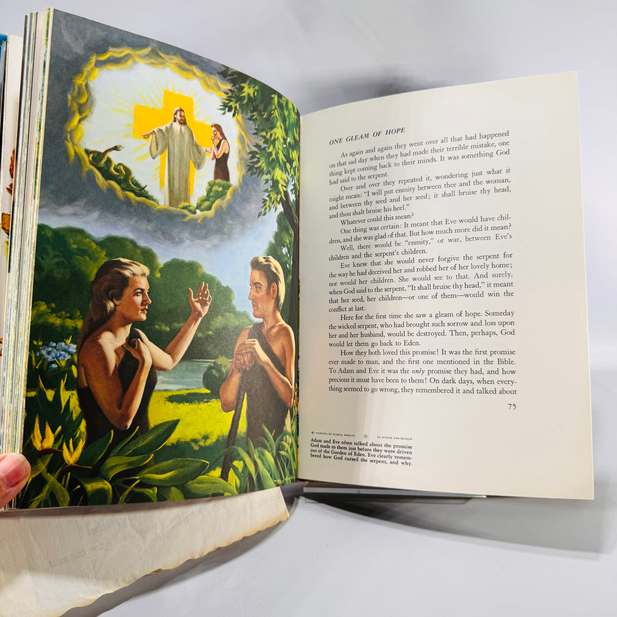 The Bible Story, Volume 1 by Arthur S. Maxwell (1974, 28th Printing) | Illustrated Christian Book with Religious Ephemera | Religious Education