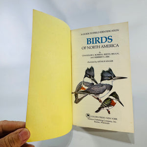 Vintage Golden Field Guide — Birds of North America (Expanded, Revised Edition) (1983) — Robbins, Bruun & Zim | Arthur Singer Illustrations, Ornithology & Birdwatching