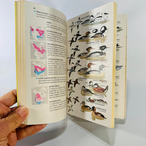 Vintage Golden Field Guide — Birds of North America (Expanded, Revised Edition) (1983) — Robbins, Bruun & Zim | Arthur Singer Illustrations, Ornithology & Birdwatching