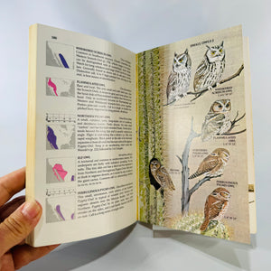 Vintage Golden Field Guide — Birds of North America (Expanded, Revised Edition) (1983) — Robbins, Bruun & Zim | Arthur Singer Illustrations, Ornithology & Birdwatching
