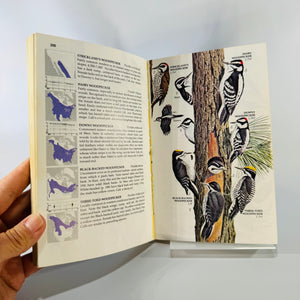 Vintage Golden Field Guide — Birds of North America (Expanded, Revised Edition) (1983) — Robbins, Bruun & Zim | Arthur Singer Illustrations, Ornithology & Birdwatching