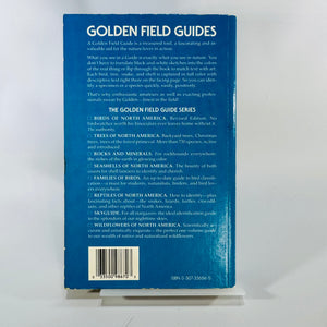 Vintage Golden Field Guide — Birds of North America (Expanded, Revised Edition) (1983) — Robbins, Bruun & Zim | Arthur Singer Illustrations, Ornithology & Birdwatching