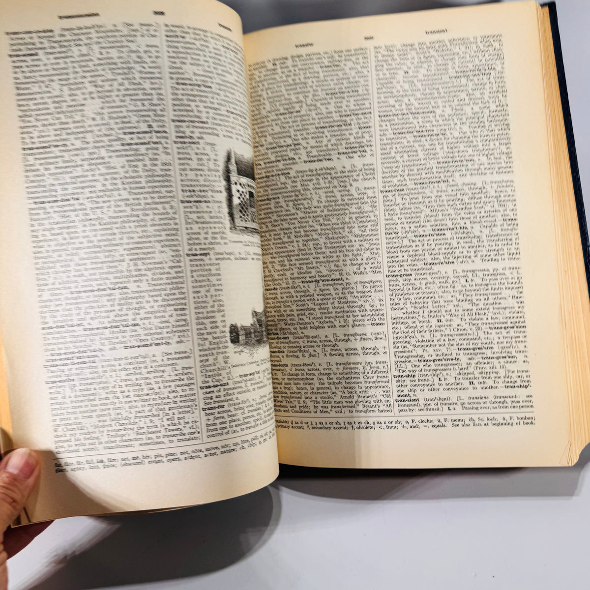 The New Century Dictionary: Volume Three (1934) | Stone-Blind to Zymurgy & Supplements | Illustrated Language Reference
