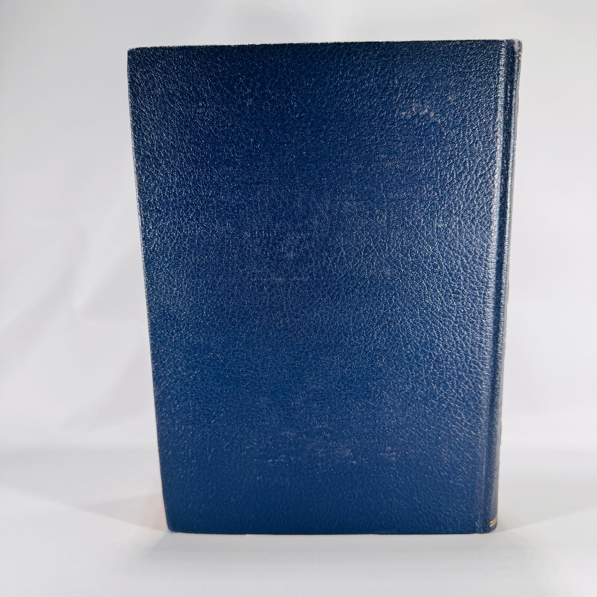 The New Century Dictionary: Volume Three (1934) | Stone-Blind to Zymurgy & Supplements | Illustrated Language Reference