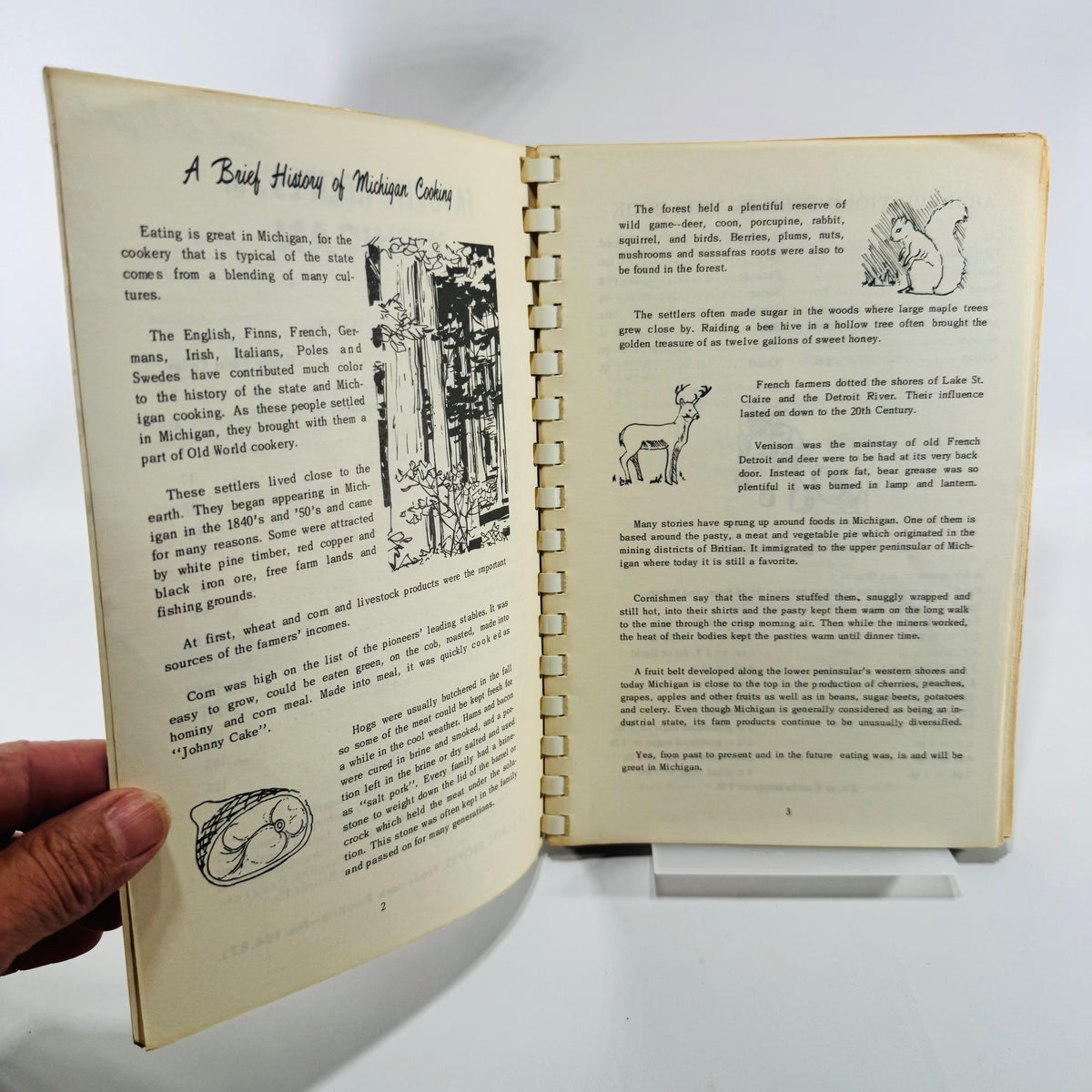 Favorite Recipes of Michigan 1964 Women's Club Cookbook 900 Recipes Comb Bound