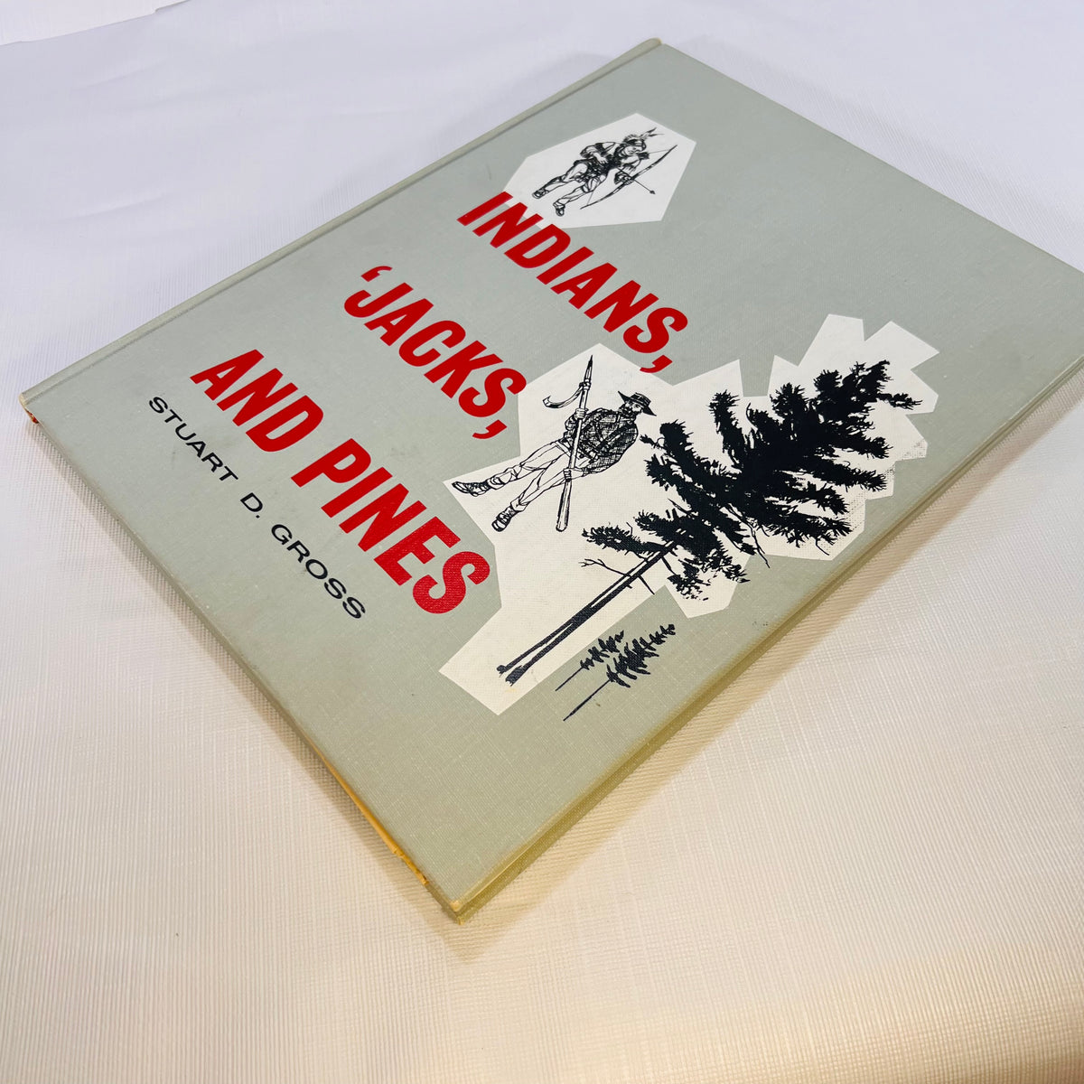Indians 'Jacks and Pines A History of Saginaw by Stuart D. Gross Illustrated by Ralph A. Misiak 1962