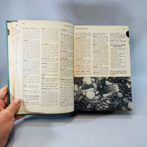 Vintage 1950s Cookbook Hardcover — Culinary Arts Institute Encyclopedic Cookbook (1950) — Ruth Berolzheimer | Thumb-Index Reference, Color Plates,