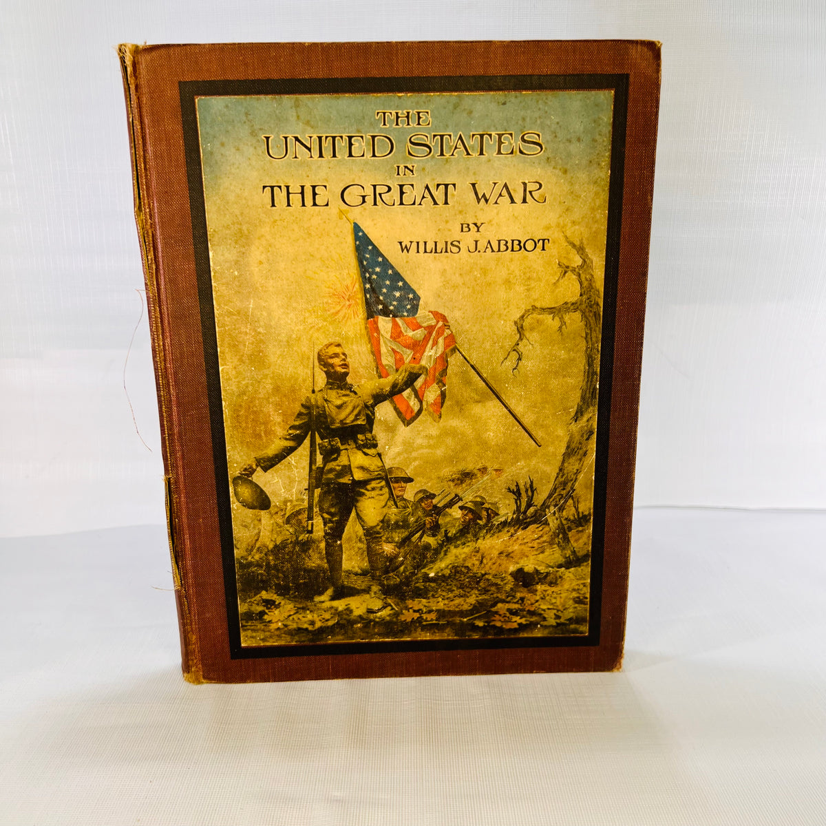 The United States in the Green War by Willis J. Abbot 1919 Double Day Page and Company