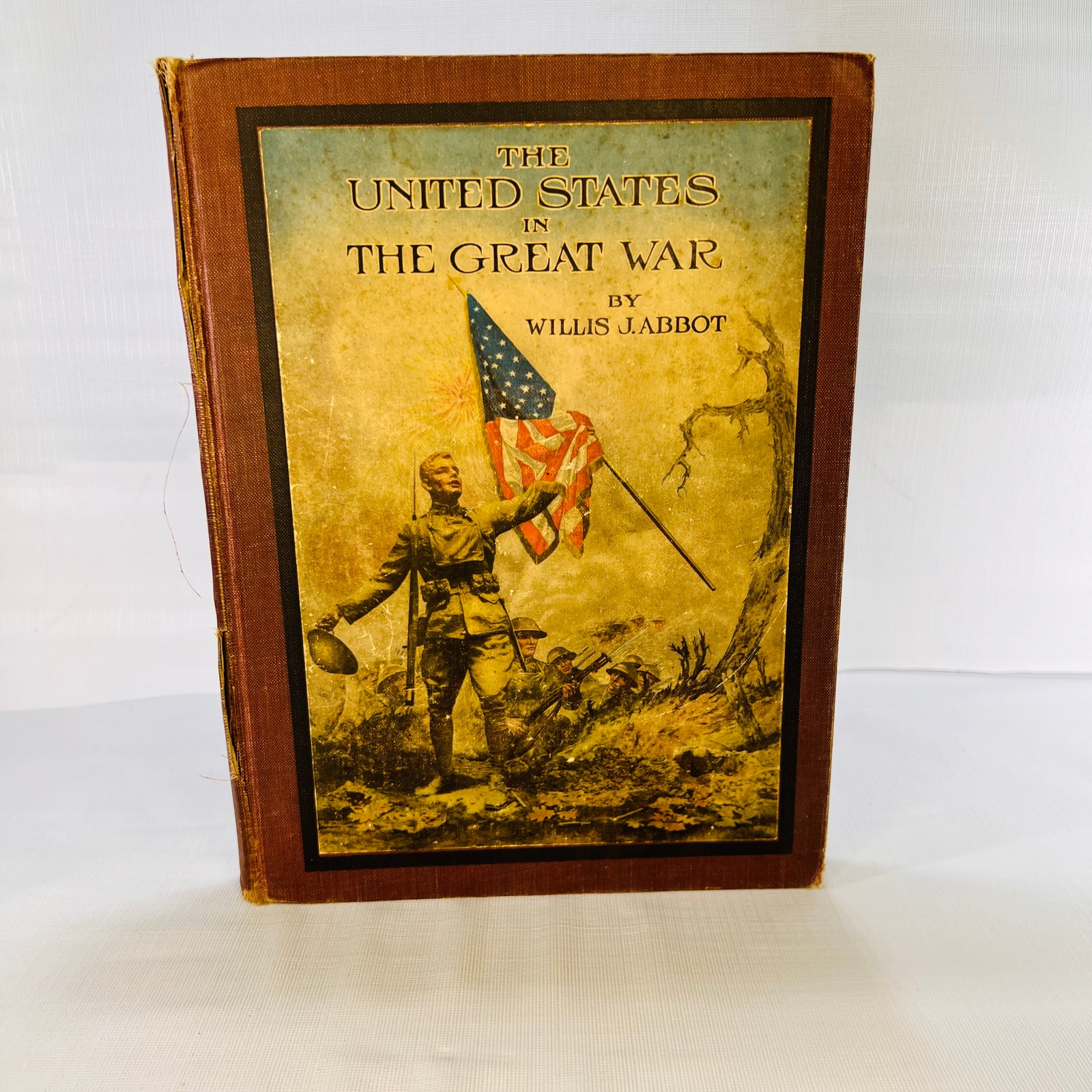 The United States in the Green War by Willis J. Abbot 1919 Double Day Page and Company