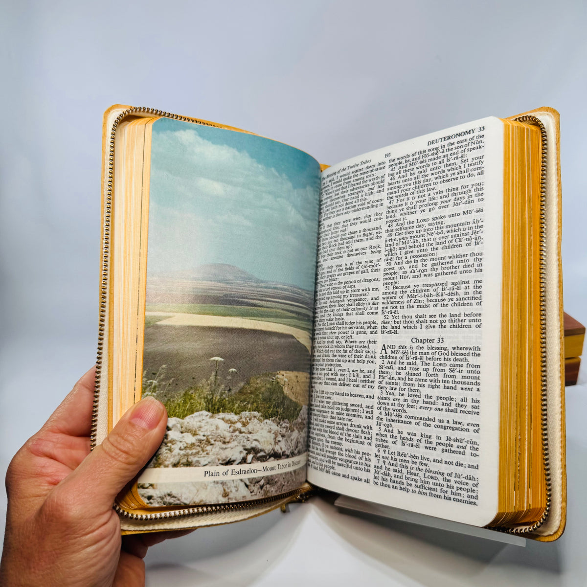 Vintage Memorial Holy Bible in Wooden Presentation Box 1958— Self-Pronouncing KJV (Copyright 1958) — Memorial Bibles Int’l | Zippered White Bible, Sympathy Ephemera, Christian Devotional