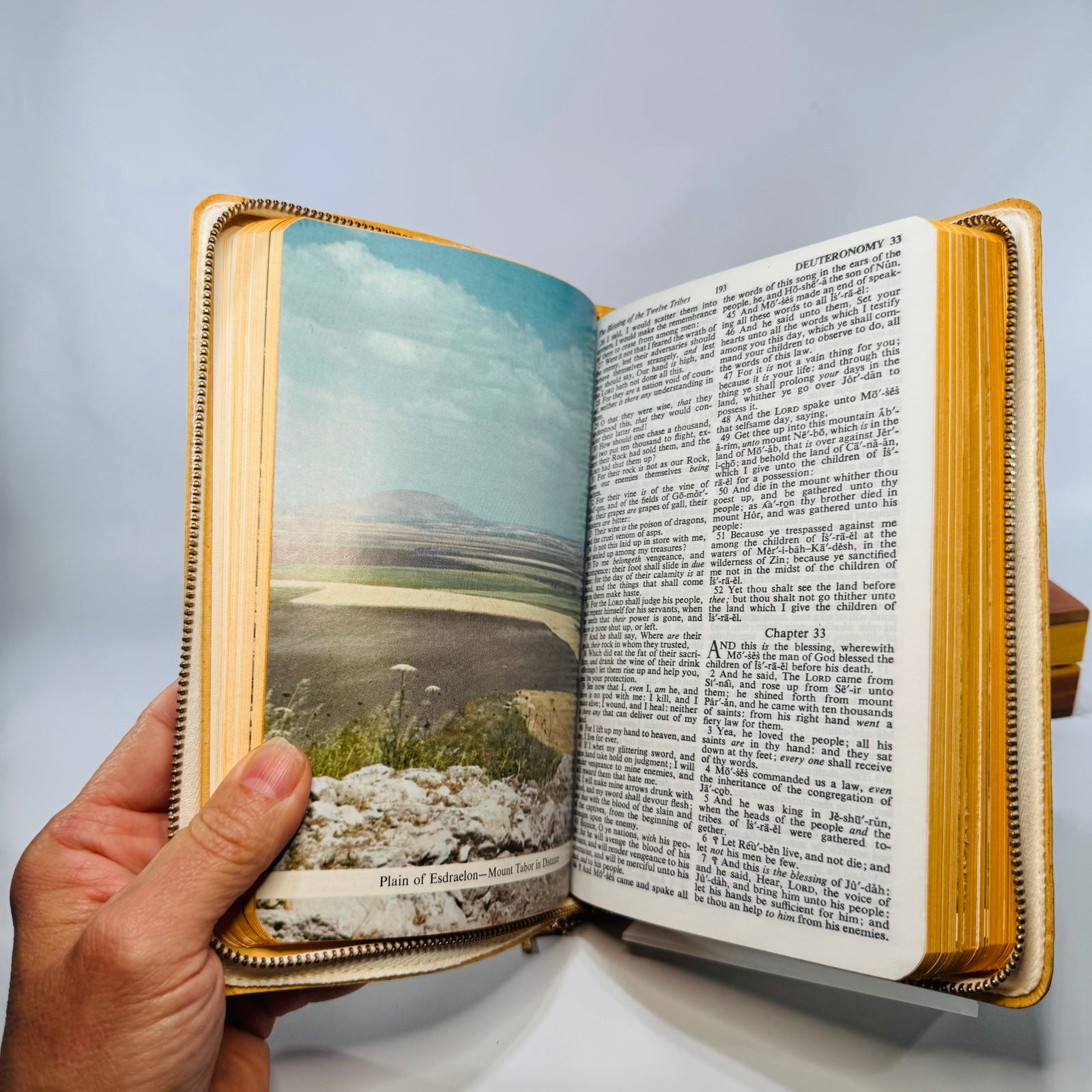 Vintage Memorial Holy Bible in Wooden Presentation Box 1958— Self-Pronouncing KJV (Copyright 1958) — Memorial Bibles Int’l | Zippered White Bible, Sympathy Ephemera, Christian Devotional